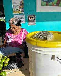 Image result for Nicolasia