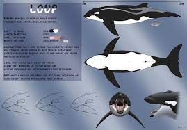 The latest tweets from fur affinity | blm (@furaffinity). A New Whaleca Around By Tasuric By Dosfin Fur Affinity Dot Net