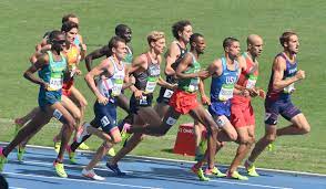 We did not find results for: Olympische Sommerspiele 2016 Leichtathletik 1500 M Manner Wikipedia