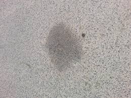 Crushed leaves decay and leave stains behind. 4 Ways To Remove Oil Stains From Asphalt Pavement G P Maintenance Solutions Kapolei Hawaii