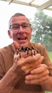 Spiders are infamously unpopular