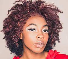 Coiffure Afro A Domicile 93 Jobbing Coiffure Esthetique A Saint Denis Montreuil Aulnay Sous Bois