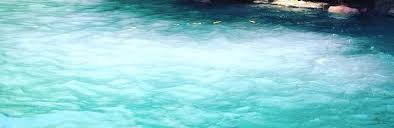 Berbicara tentang obyek wisata di jawa timur memang tiada habisnya mulai dari wisata alam. Winslow Hotel Reviews Kupang Indonesia Tripadvisor