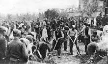 Image result for holocaust photos