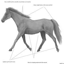 Luckily, drawing a simple horse is easy and quick! Realistic Horse Drawing In 4 Steps With Photoshop