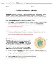 0%(1)0% found this document useful (1 vote). Meiosisse Pdf Name Date Student Exploration Meiosis Vocabulary U200b U200b Anaphase Chromosome Crossover Cytokinesis Diploid Dna Dominant Gamete Genotype Course Hero
