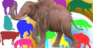 هل تعلم للاطفال عن الحيوانات معلومات مثيرة للدهشة in 2021 elephant animals