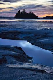 Baby Island Willapa Bay Washington Coast Great For Kayaking And Walking With Your Ridgeback Washington Travel Canada West Coast Kayaking