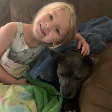 Where to find boxes for moving in Shepherdsville?