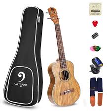 We did not find results for: By Vangoa Acoustic Concert Ukulele Zebra Wood Portable Ukelele 23 Inch Beginners Starter Kit Acoustic Ukulele Professional With Accessories Musical Instruments Stage Studio Ukuleles