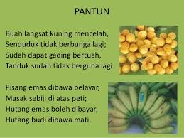 Khamis, 08 ogos 2019 1:00 pm. Buah Buahan Tempatan