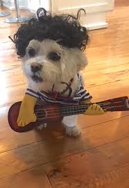 The Gibson ES-335 » Blog Archive » Halloween 2019