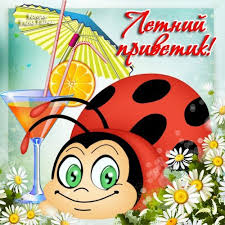 Летний приветик! открытки, поздравления на cards.tochka.net
