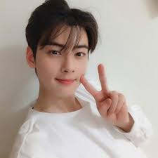 LEE DONG MIN ¦ CHA EUN WOO ASTRO