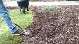 Check spelling or type a new query. Do It How To Build Concrete Lawn Borders Today S Homeowner