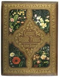 Thisivyhouse Book Illustration Art Book Art Vintage Book Covers