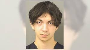 Suspect arrested after five calls to 911 in one day; 50+ calls in 2024: PBSO