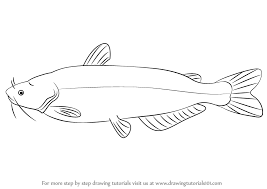 Check spelling or type a new query. Catfish Pencil Drawing Bestpencildrawing