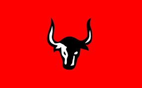 Arti Dan Makna Banteng Pada Sila Keempat Di Lambang Pancasila Semua Halaman Kids