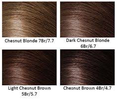 Chestnut Color Hair Color Chart Find Your Perfect Hair Style