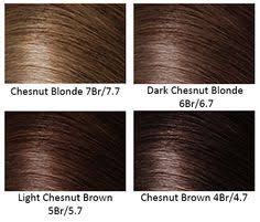 chestnut color hair color chart find your perfect hair style