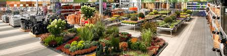We did not find results for: Obi Gartencenter Viersen Alles Fur Deinen Garten