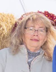 Sandra Nicoll's Instagram, Twitter & Facebook