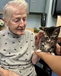 Thank You Thursday 💛 A huge thank you to Powell Valley Assisted Living and  Memory Care Center for welcoming some of our kittens for a visit! They were  absolutely spoiled with love,