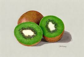 Related searches:fruit fruit juice orange fruit apple fruit fruit logo vegetables and fruits passion fruit dried fruit fruit splash. Colored Pencil Drawing Of Kiwi Fruit By Jasminasusak Deviantart Com On Deviantart Fruits Drawing Fruit Art Drawings Realistic Drawings