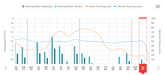 Image result for training effect schema
