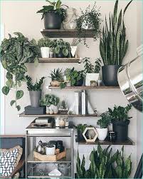 Living Room With Green Plants 84 Best 25 Living Room Plants Ideas On Pinterest 5 Bedroomplants Plant Decor Room With Plants Plant Shelves
