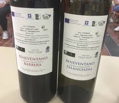 Temperatura di servizio servire a 18°. Barbera E Falanghina Senza Solfiti Aggiunti I Risultati Del Progetto Di Vigne Sannite Luciano Pignataro Wine Blog
