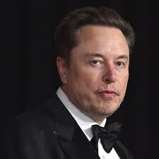 Elon Musk: Wenn ein Chefposten nicht reicht