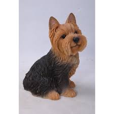 Shyness or aggressiveness toward people. Sitting Yorkshire Terrier Statue Overstock 29045689