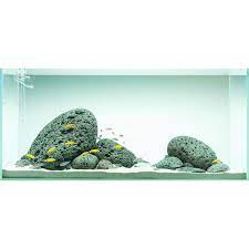 Water Wabikusa Watertank Waterplants Tropica Aquascape Aquarium Aquarium Fish Tank Cichlid Aquarium