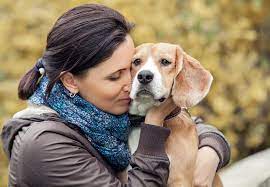 Pets keep us company when we're lonely. In Home Pet Euthanasia Colorado Springs End Of Life Pet Care