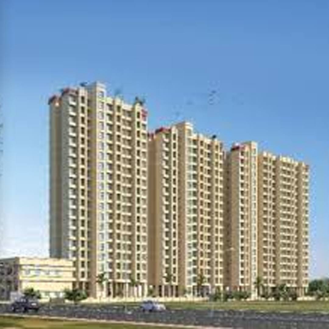 atlantic kalyan product image