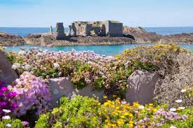 How to stop time is a fantasy novel about a man aging slowly. The True Story Behind The Guernsey Literary And Potato Peel Society