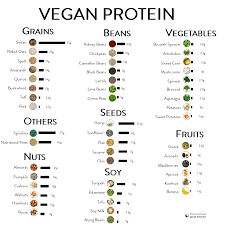Vegan Protein Sources Chart The Conscious Plant Kitchen Vegan Protein Vegetarian Protein Protein Chart