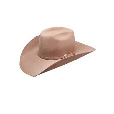 Resistol Cody Johnson Sahara Felt Cowboy Hat In 2021 Cowboy Hats Felt Cowboy Hats Cowboy