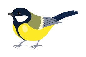 Bright Tit Bird Cartoon Illustration. to Graphic by pch.vector · Creative  Fabrica