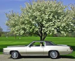 Image result for Cameo Beige 1969 Cadillac