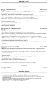 Assists the bank in establishing and maintaining market position in the financing arena. Associate Relationship Manager Resume Sample Mintresume