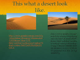 The lack of vegetation exposes the unprotected surface of the ground to the processes of denudation. Deserts Done By Abdulrahman Asheer The Desert Is Located In The Yellow Places In The Map Ppt Download
