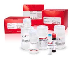 α-Glucosidase Activity Assay Kit sufficient for 100 colorimetric tests