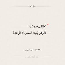 اقتباسات جلال الدين الرومي إخفض صوتك عالم الأدب Wisdom Quotes Wisdom Quotes Life Good Day Quotes