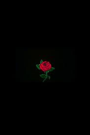 Wallpaper Rose Flower Gothic Wallpaper Black Wallpaper Rose Wallpaper