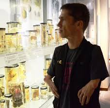 Tsf teaches you how to create a cabinet of curiosities at your home. Cabinet Of Curiosities How Disability Was Kept In A Box Research Centre For Museums And Galleries Rcmg University Of Leicester