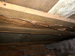 Image result for site:byggahus.se träskada