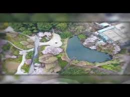 amazing qingdao 航拍俯瞰中山公园这里像是一个彩色拼图板 qingdao travel amazing